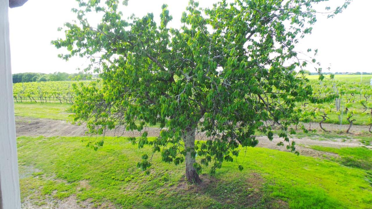Monprimblanc Chambre D'Hotes Le Paon Blanc المظهر الخارجي الصورة